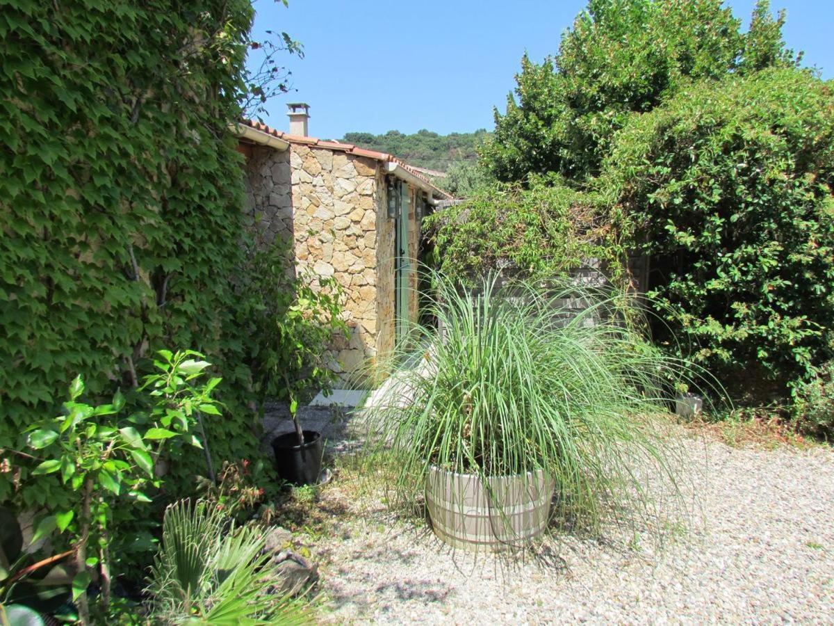 Chambre D'Hotes Des Oliviers La Roque-sur-Cèze Buitenkant foto